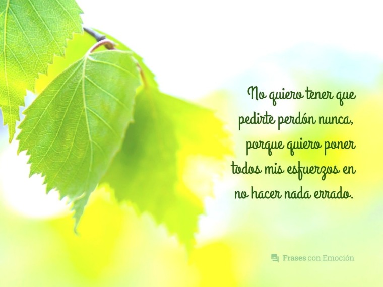 No quiero tener que pedirte...