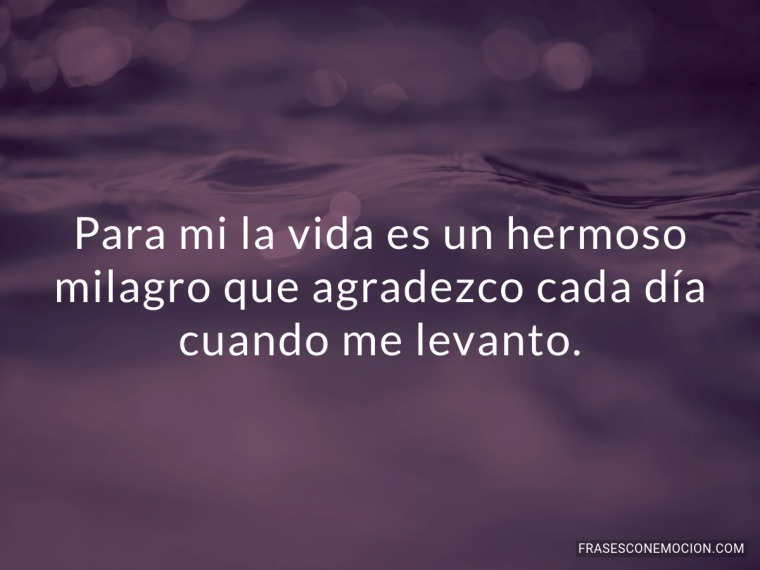 Para mi la vida es un hermoso...