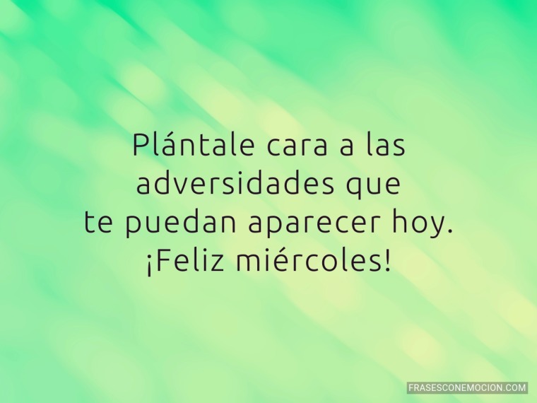 Plántale cara a las...