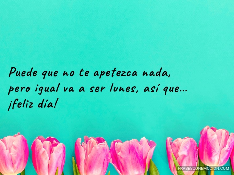 Puede que no te apetezca nada...