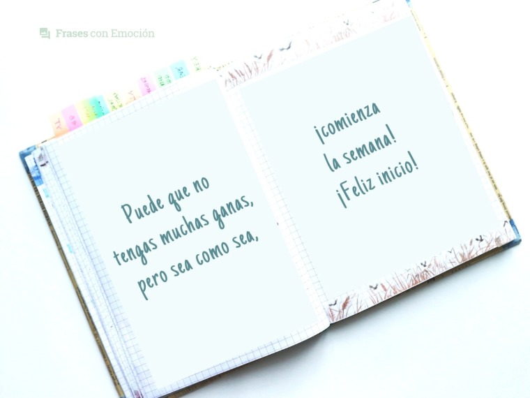 Puede que no tengas muchas ganas...