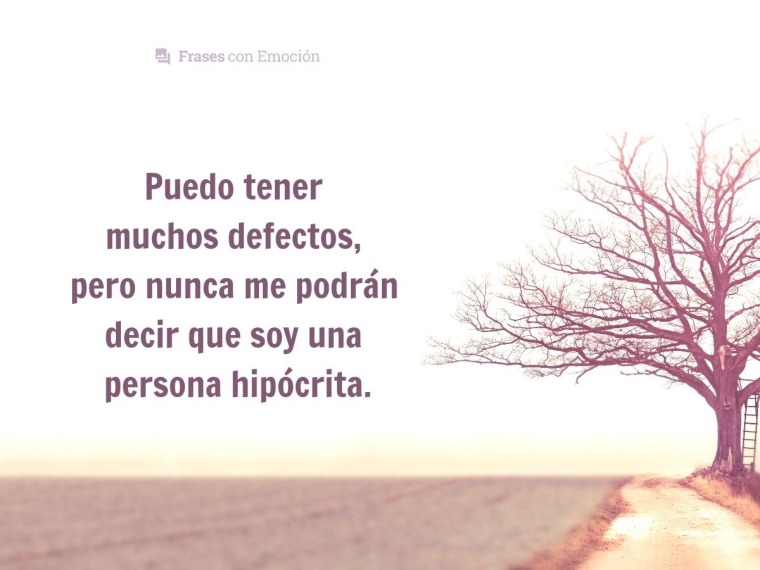 Puedo tener muchos defectos...