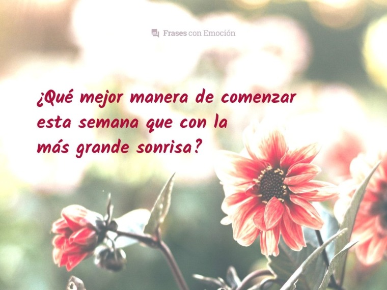 Qué mejor manera...