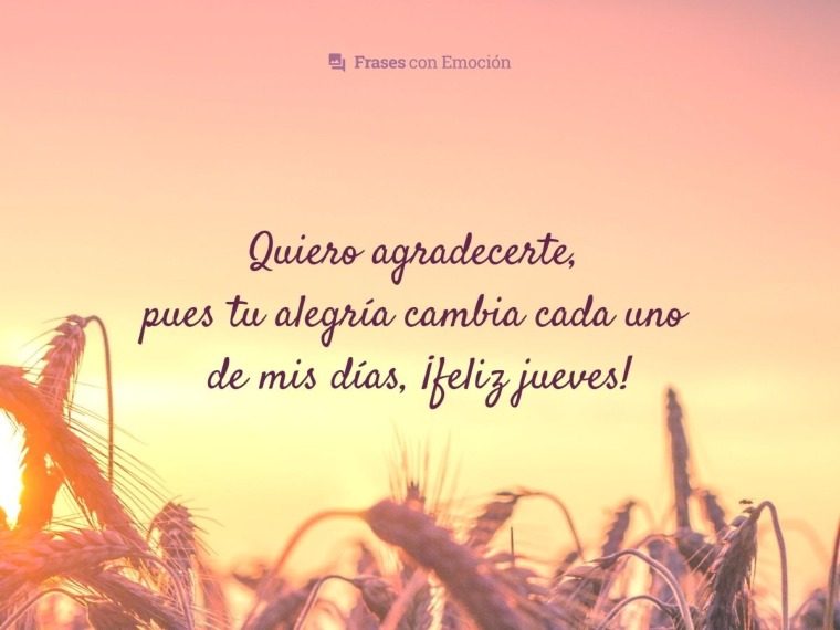 Quiero agradecerte, pues tu alegría...