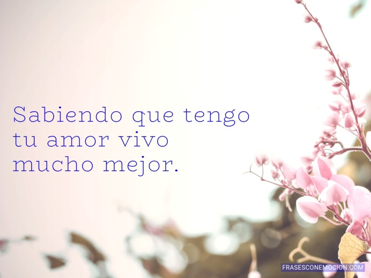 Sabiendo que tengo tu amor...