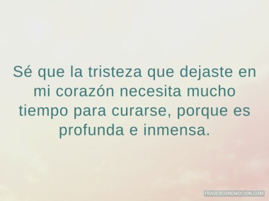 Sé que la tristeza que dejaste...