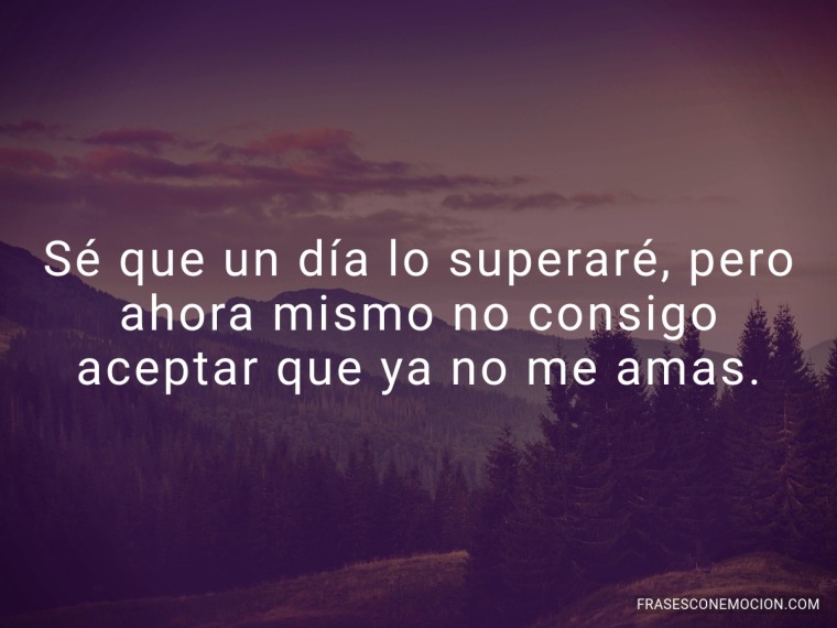 Sé que un día lo superaré...