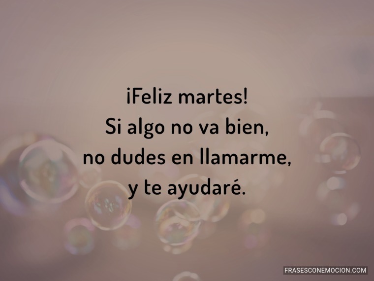 Si algo no va bien...