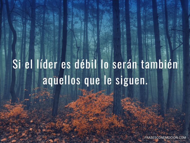 Si el líder es débil...