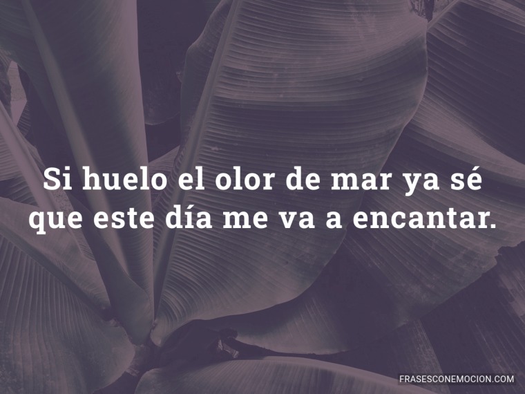 Si huelo el olor de mar...