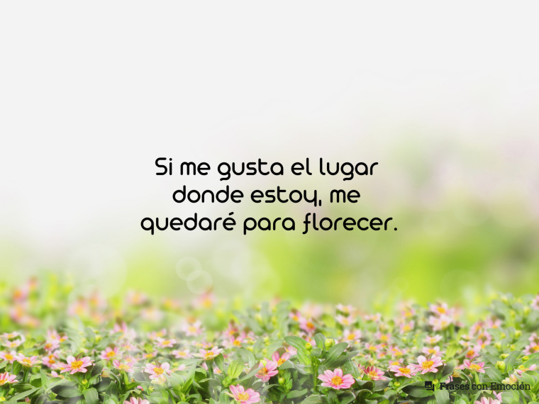 Si me gusta el lugar donde...