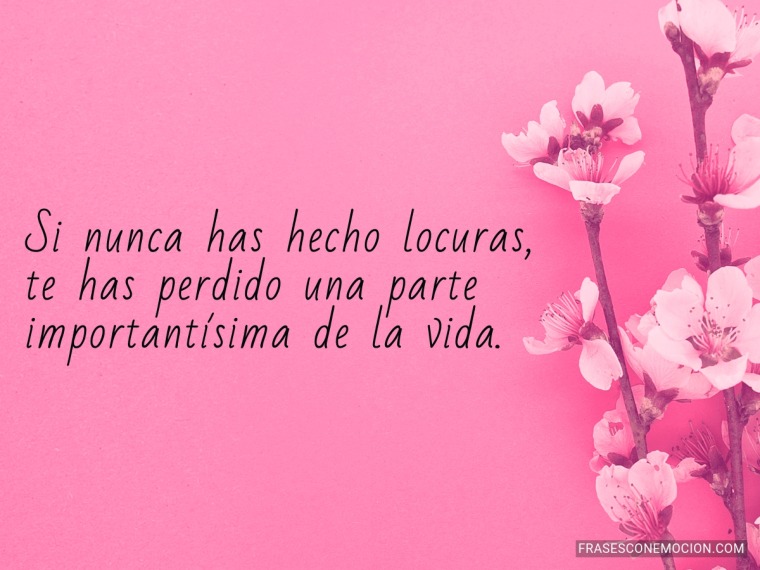 Si nunca has hecho locuras...