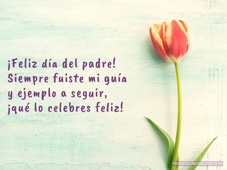 Siempre fuiste mi guía...