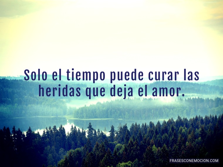 Solo el tiempo puede...