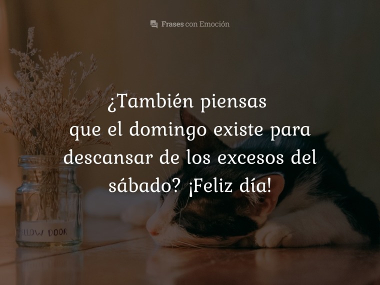 También piensas que...