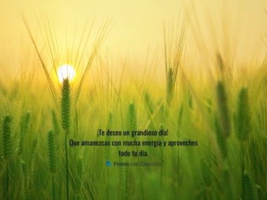 Te deseo un grandioso día...