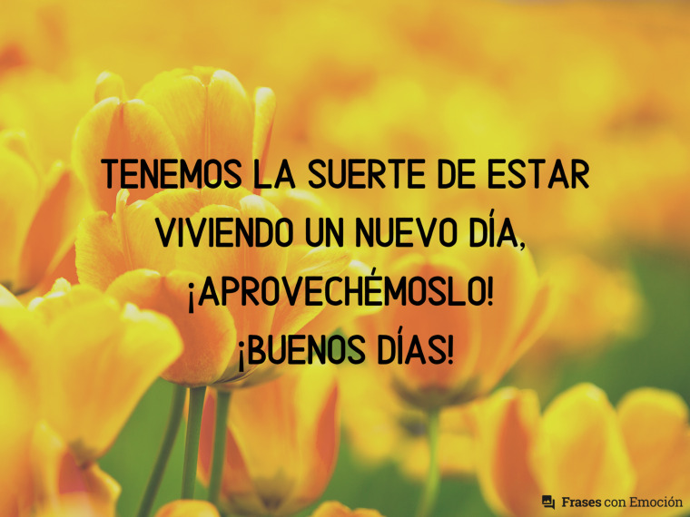 Tenemos la suerte de estar viviendo...