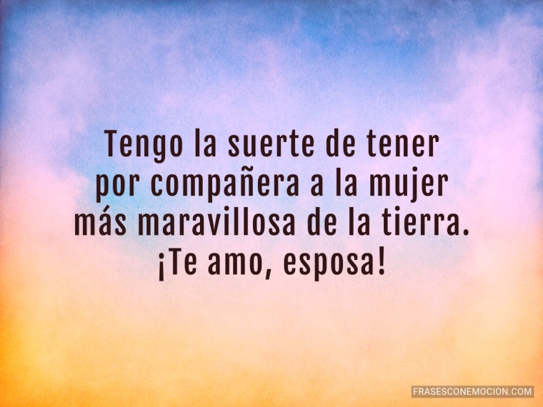 Tengo la suerte de tener por compañera...