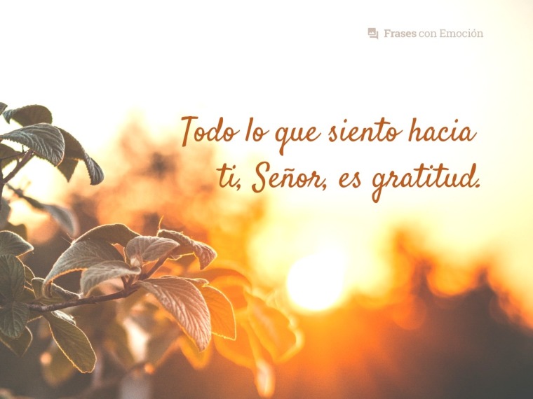 Todo lo que siento...