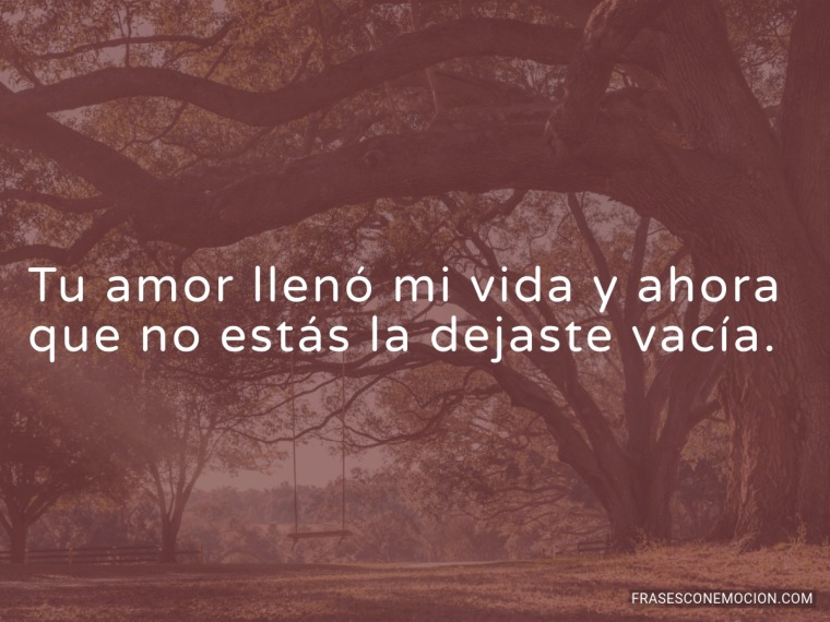 Tu amor llenó mi vida...