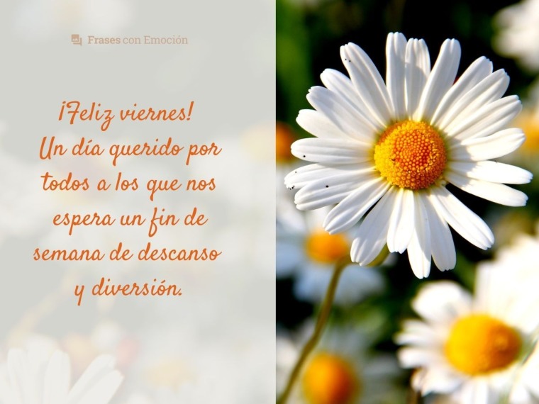 Un día querido por todos...