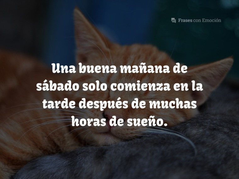 Una buena mañana de sábado...