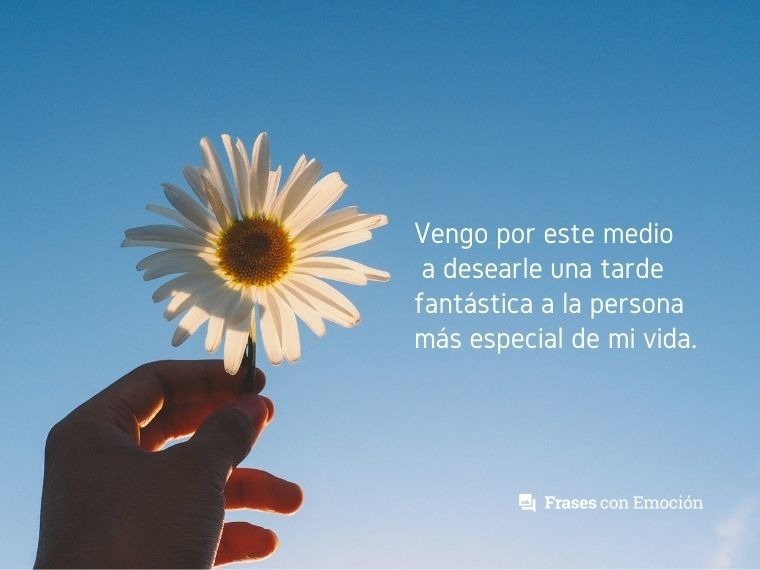 Vengo por este medio a...