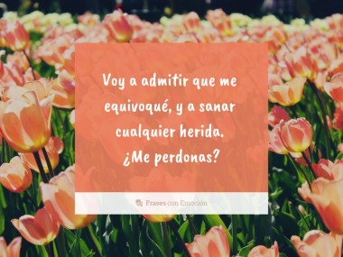 Voy a admitir que...